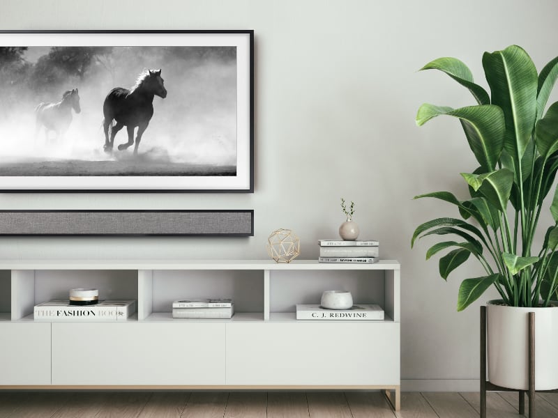 Leon Speaker | Intégration TV | Design d'intérieur